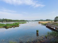 -野鸭湖国家湿地公园