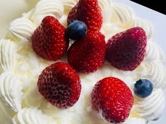 -幸福鸟动物奶油生日蛋糕(军校店)