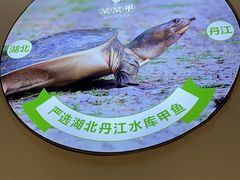-笨笨甲甲鱼坊(蓝堡湾店)