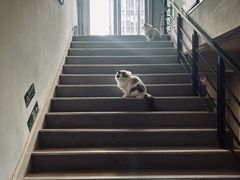 -白兔子密室(长寿路店)