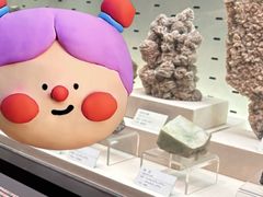 -浙江自然博物院(杭州馆)