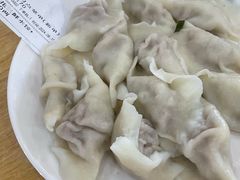 -东北农业大学饺子园