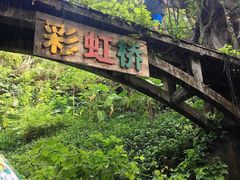 -青青世界