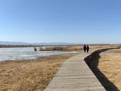 -野鸭湖国家湿地公园