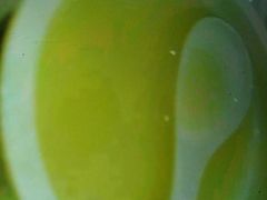 -北京全聚德(天安门店)