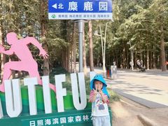 -日照海滨国家森林公园