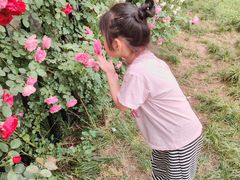 -西安市长乐公园