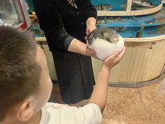 -天正河鲀·河豚亭(大连店)