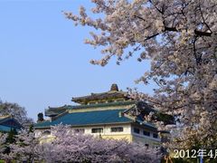 -武汉大学-樱园