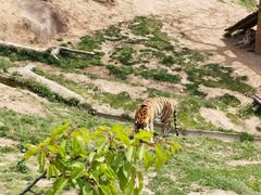 -西霞口神雕山野生动物世界