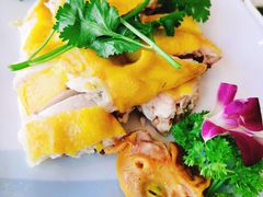 -墨脱石锅椰子鸡•香草鸭•东山羊(大东海店)