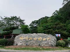 -顺峰山公园