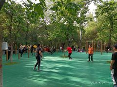 -西安市长乐公园