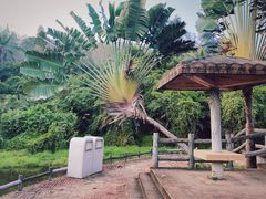 -三亚南山文化旅游区