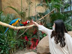 -杭州开元森泊度假乐园