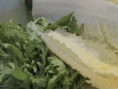 茼蒿-老鼎旺安格斯牛肉火锅(衡艺广场店)