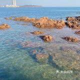 🌊来海边啦！青岛的海真的很出片