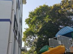 -苏州市公园路幼儿园