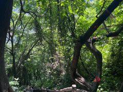-秦岭终南山世界地质公园翠华山景区