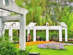 -新虹桥中心花园