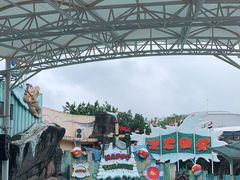 -海合安成都极地海洋公园