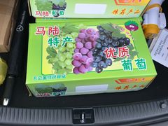 -马陆小张葡萄园农家乐