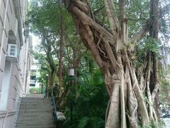 -香港大学