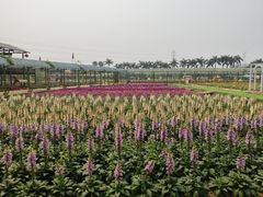 -盈香心动乐园