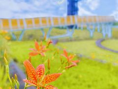 -春花秋色城市公园