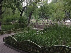 -文瀛公园