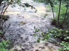 -汤旺河林海奇石景区