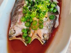 -上海新锦江大酒店