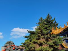 -大召寺明清一条街
