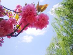 -石家庄市植物园