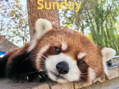 -水上乐园·欢乐世界