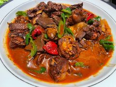 熬炒固始鸡-阿五黄河大鲤鱼(陇海西路店)