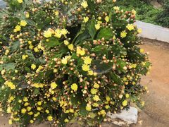 -昆明春城湖畔度假村