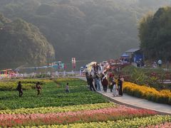 -广州市石门国家森林公园