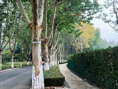 -春晖园度假酒店温泉