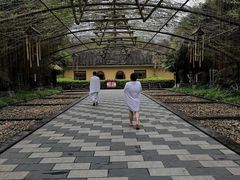 -森波拉火山温泉