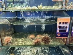 -小船渔村•大连菜•大连焖鱼(明泽街店)