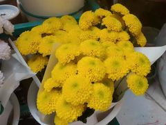 -BoBloom花店(晶耀前滩店)