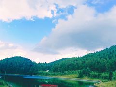 -武陵山森林公园