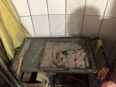 -宋文成烤肉(白沙巷店)