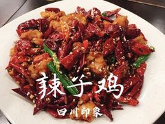 -四川印象锦城里