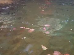 -泉城欧乐堡戏水湾艺术养生温泉