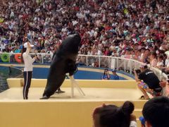 -秦皇岛乐岛海洋王国