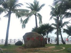 -万绿园