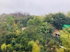 -天目湖涵田半山温泉