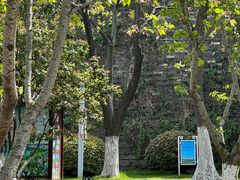 -鸡鸣赐茶(鸡鸣寺路店)